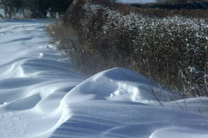 winternorthumberlandengland.jpg